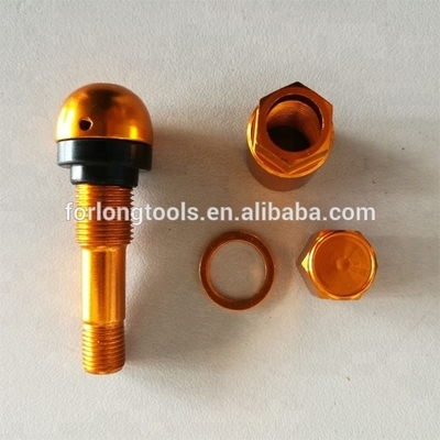 Универсальный год TPMS TR525 Беструбный клапан шины с пылевой крышкой из алюминия